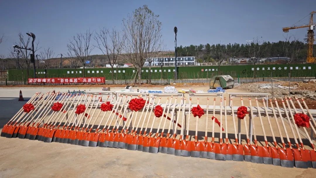 qy千亿国际“qy国际果园”共建行动： 一场绿意与笑声齐飞的春日狂欢！