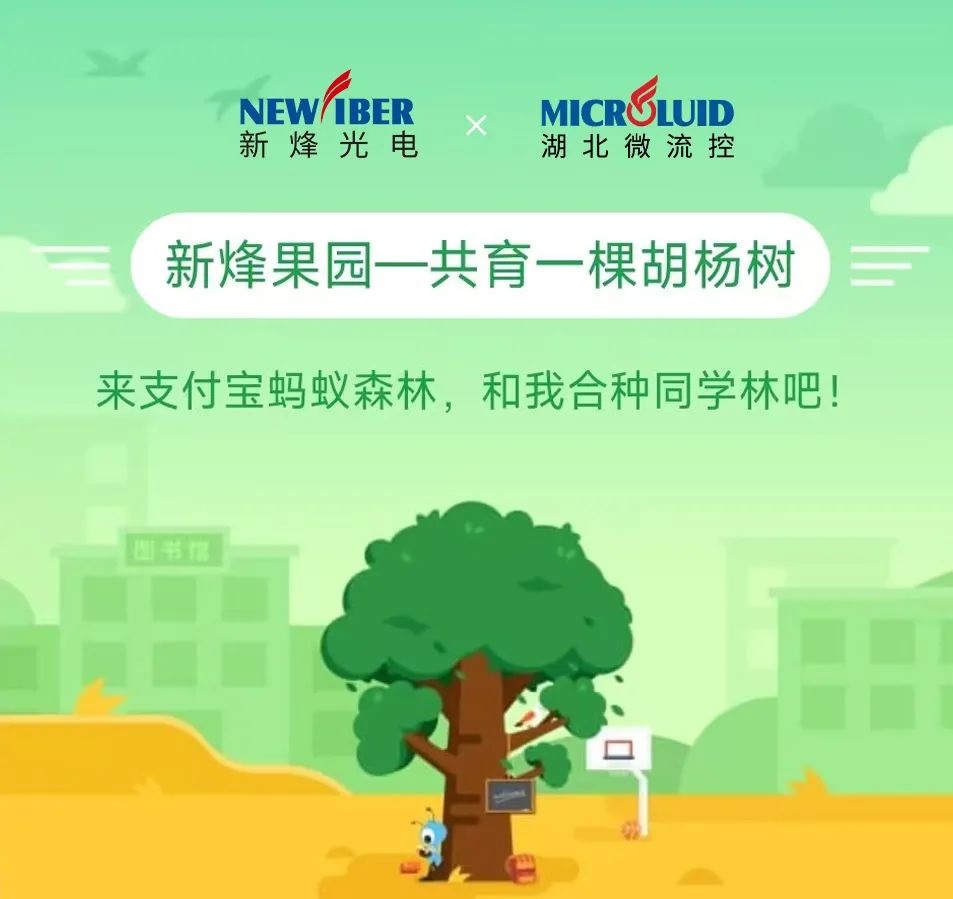 qy千亿国际“qy国际果园”共建行动： 一场绿意与笑声齐飞的春日狂欢！