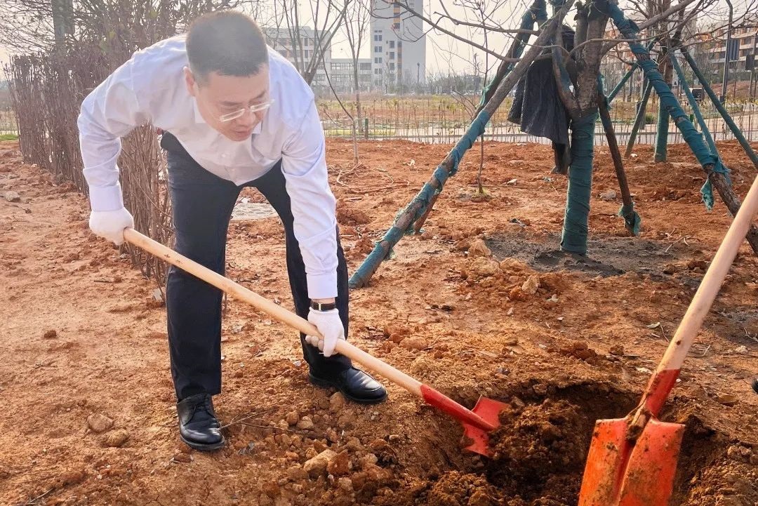 qy千亿国际“qy国际果园”共建行动： 一场绿意与笑声齐飞的春日狂欢！