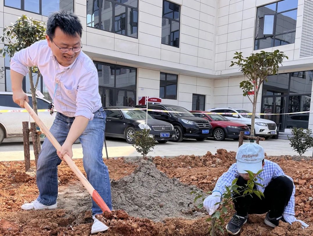 qy千亿国际“qy国际果园”共建行动： 一场绿意与笑声齐飞的春日狂欢！