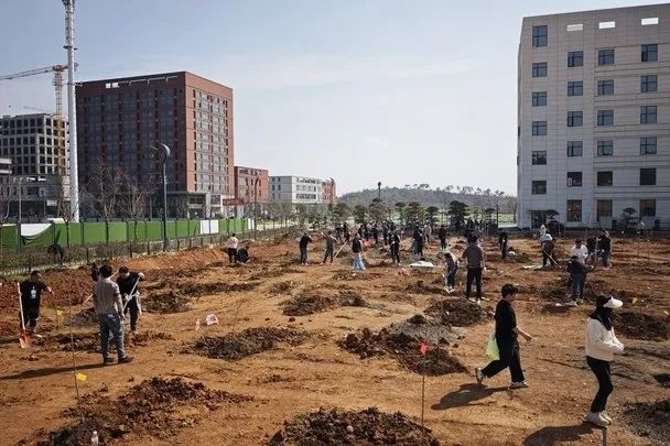 qy千亿国际“qy国际果园”共建行动： 一场绿意与笑声齐飞的春日狂欢！