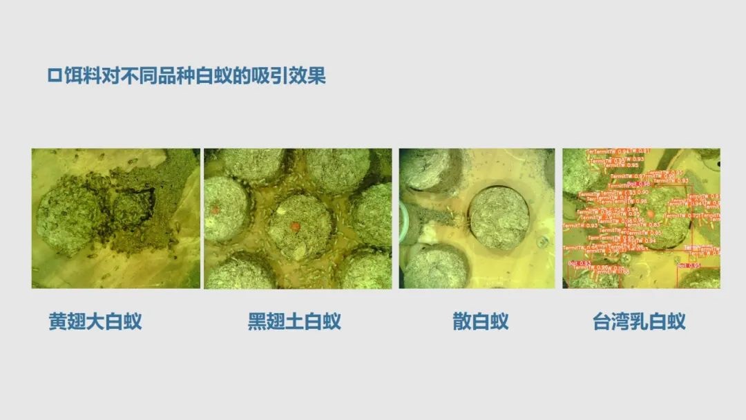 全场聚焦丨qy千亿国际亮相首届广东省水利先进实用技术推介会！！!